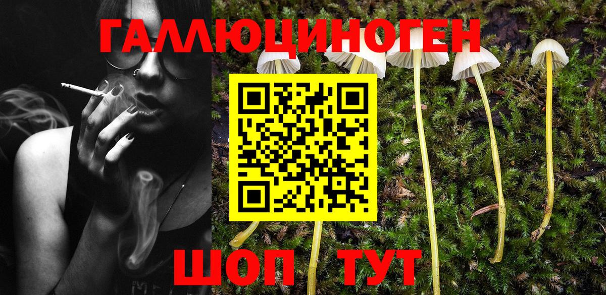 Гагарин  Галлюциногенные грибы Psilocybine cubensis  Вход с VPN  где купить   Псилоцибиновые грибы прущие грибы 