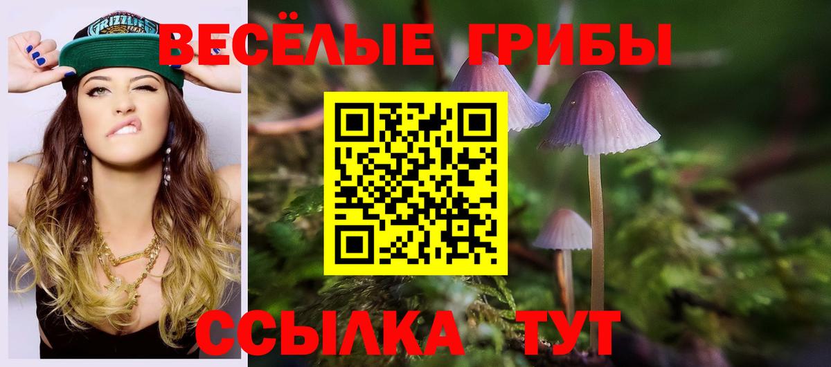 Галлюциногенные грибы прущие грибы Гагарин